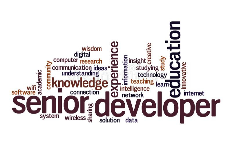 Senior developer là gì? Mô tả công việc của senior developer