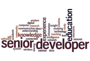 Senior Developer là gì