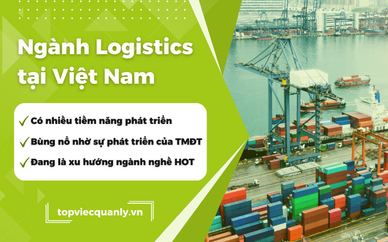 Top các công ty Logistics lớn ở Việt Nam