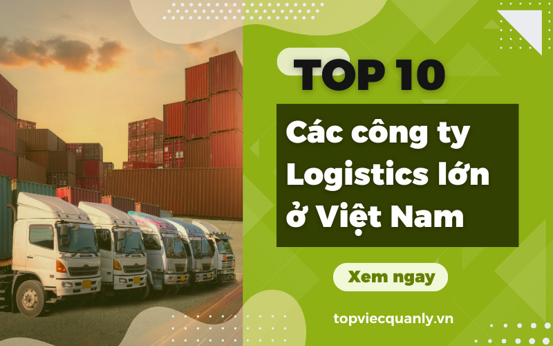 Các công ty logistics lớn ở Việt Nam hiện nay