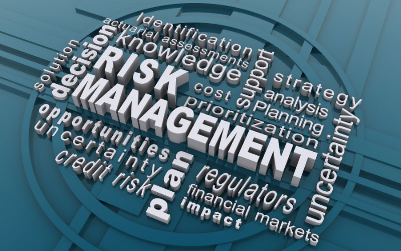 Risk Management là hoạt động nhận dạng, phân tích và đo lường rủi ro 